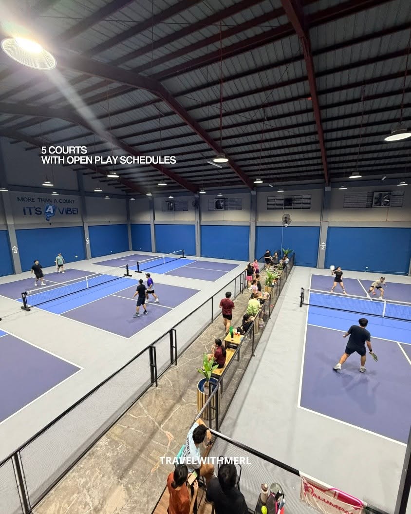 Apex Pickleball Hub Calamba court photo