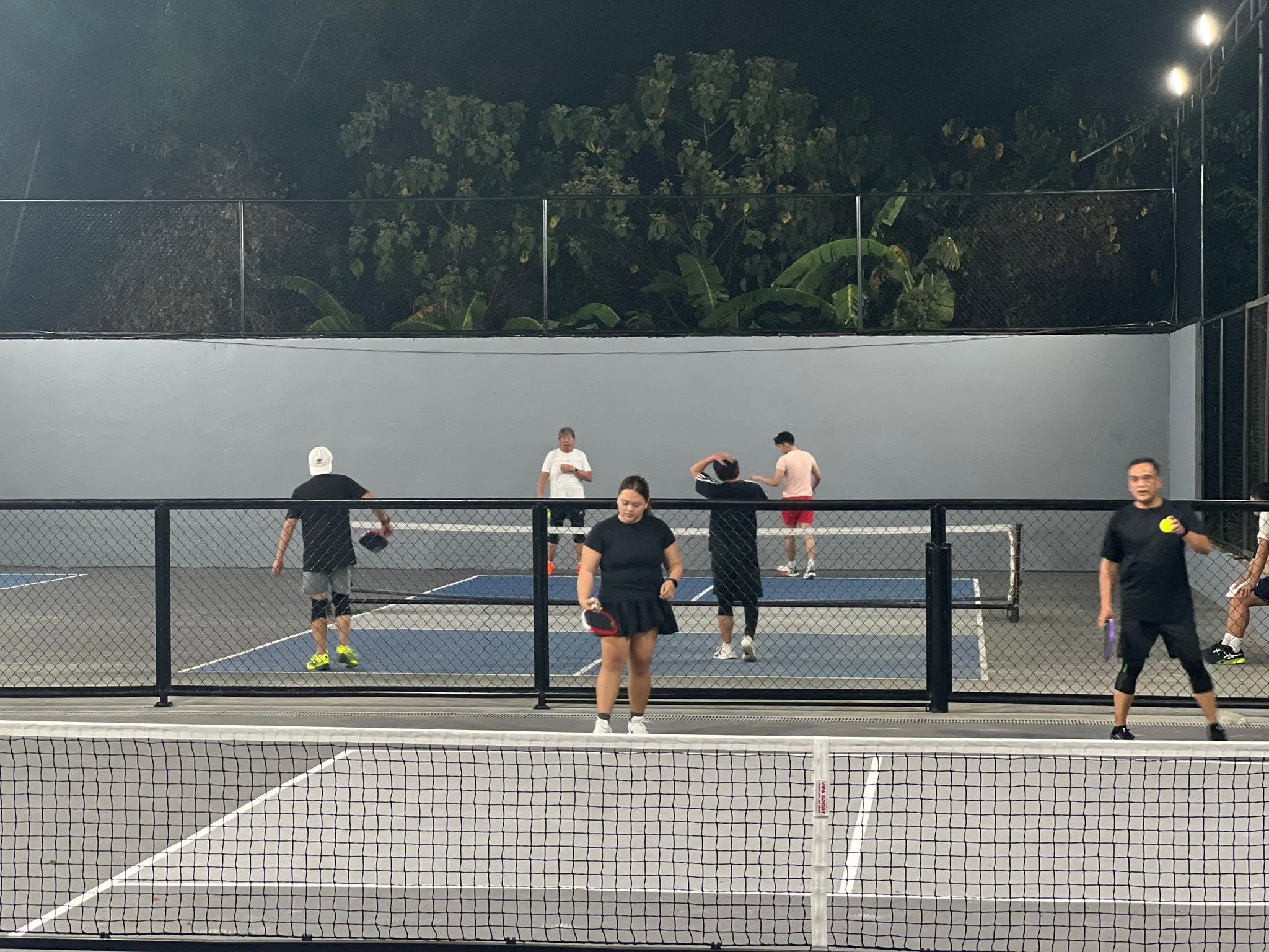 Delta Pickleball Courts court photo