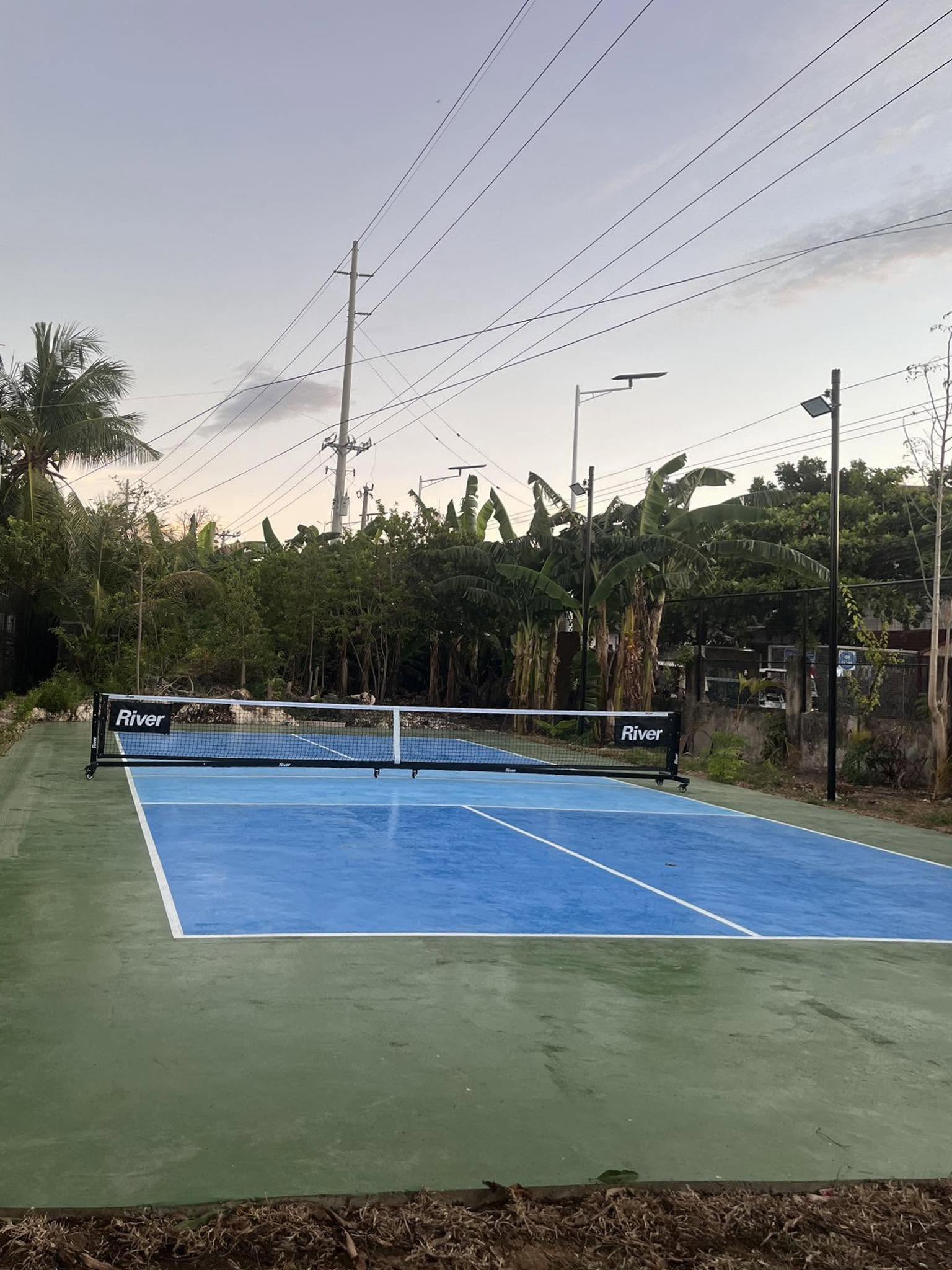 Frontyard Pickleball Court court photo