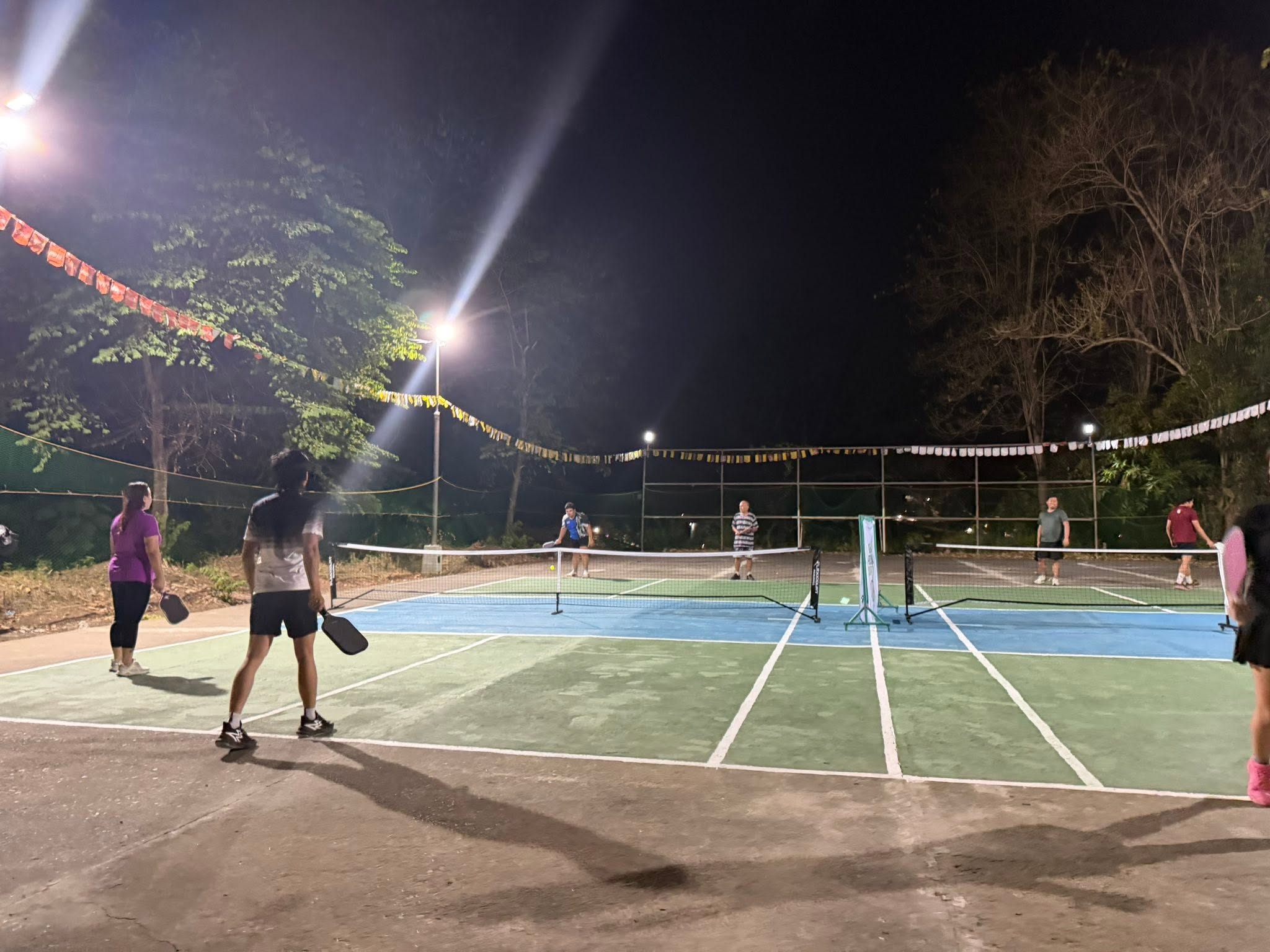 Apovel Pickleball Court court photo