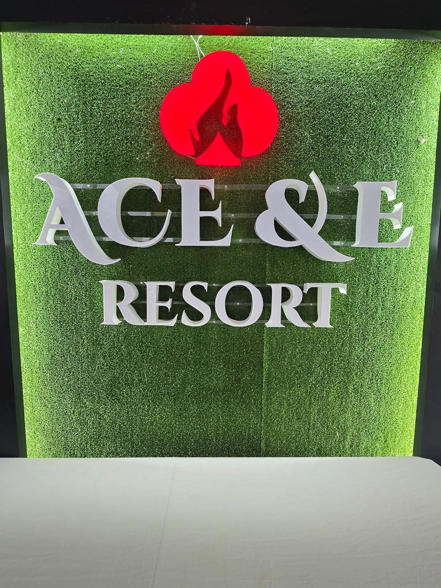 Ace & E Resort And A-Team Pickleball Lab. logo