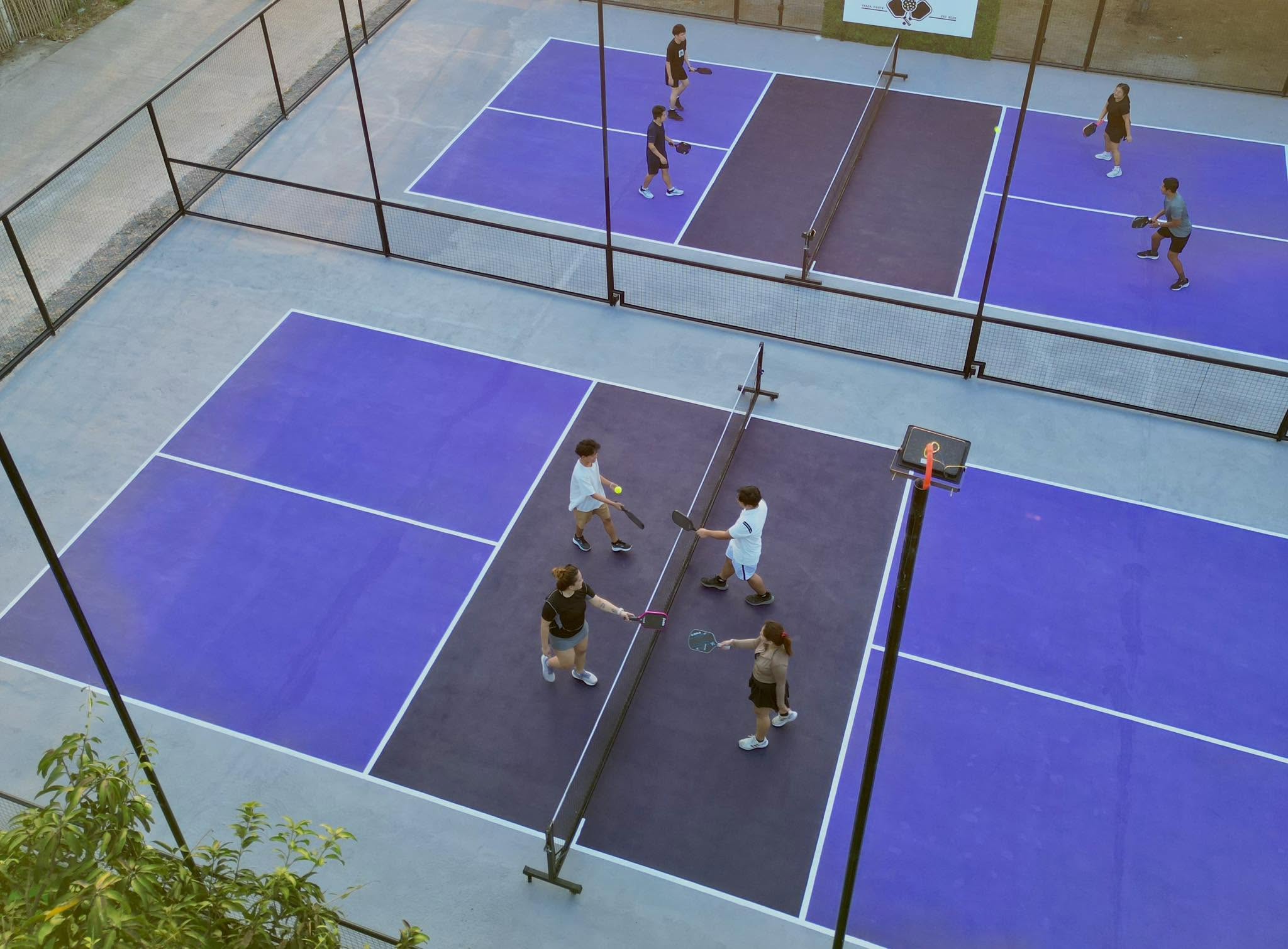 Dinkin' Farm Pickleball Court court photo
